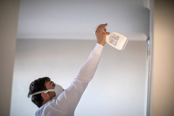 Best Affordable Mold Removal  in Meridian, CO