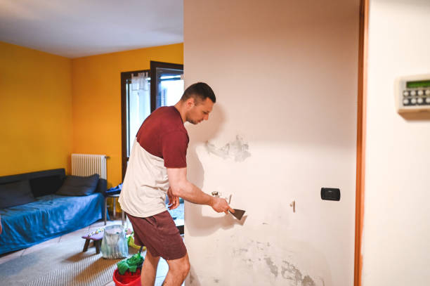 Best Mold Removal Company Near Me  in Meridian, CO